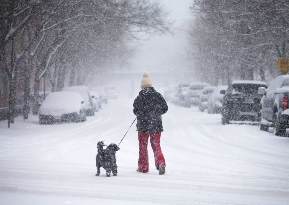 2015: A series of blizzards and cold spells